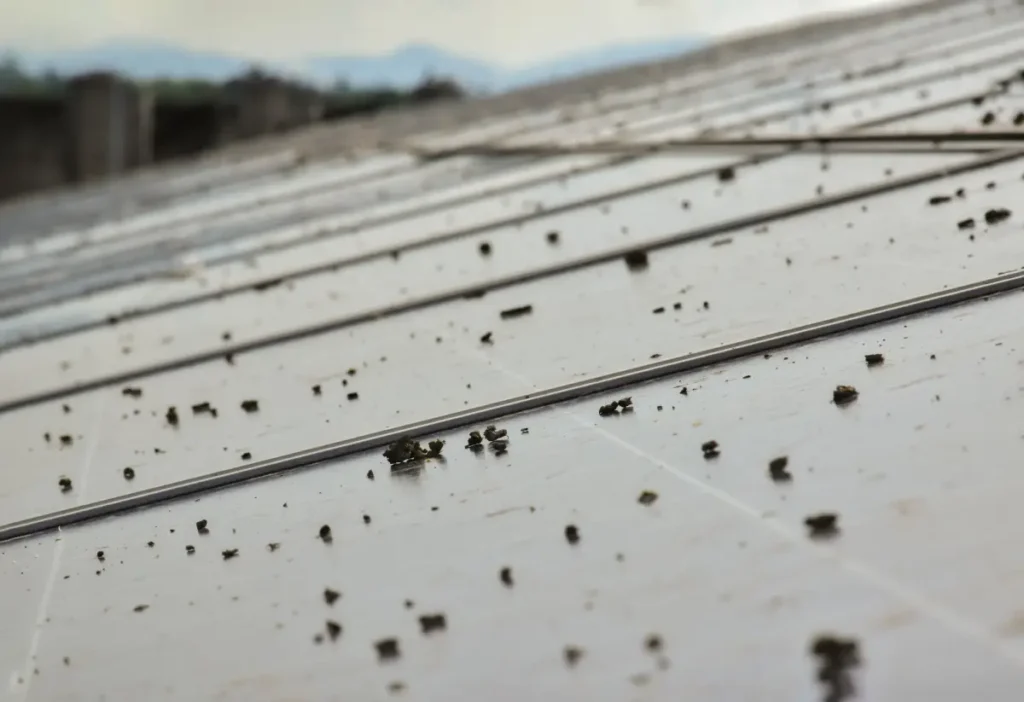 Cleaning solar panels in the southwest of pollen and dirt